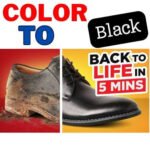 RAVI Permanent Shoe Recolor Dye, Black Leather & Rexine Shoe Color Restorer 250ml